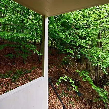 营地 Posed Vazka By Twofingers Glamping